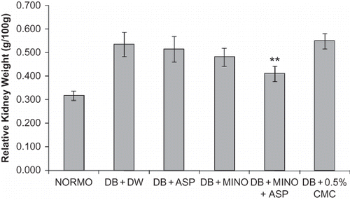 Figure 2. Effects of 4-week treatment with MINO, ASP, and MINO in combination with ASP on renal hypertrophy. The values are given as mean ± SD. **p < 0.01 when compared with vehicle treated control group.