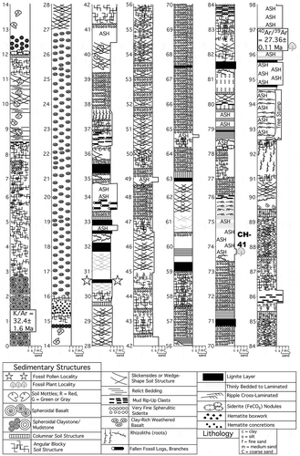 Figure 2. Stratigraphic section, measured along the Guang River. Stars indicate stratum that produced the Sclerosperma fossil pollen, and the fossil leaf locality, CH41, is labelled and marked by a leaf icon. Radioisotopic dates are shown near the base and top of the section.