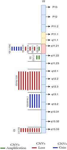 Figure 1 The number of predicted locations of CNV in Ch22 for 6 autistic samples. The majority of variants are found in 22q11.2.