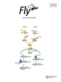 Cover image for Fly, Volume 16, Issue 1, 2022