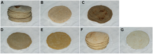 Figure 1. Comparison of tortilla mixtures A. without substitution (negative control) and obtained by partial substitution or addition to the nixtamalized corn flour of B. 10 and C. 25 g sweet potato/100 g, D. 10 and E. 25 g/100 g peach palm and F. 10 and G. 25 g/100 g cassava flours.