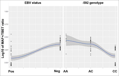Figure 4. Main effect plots of EBV status and −592 genotypes on the tumor microenvironment polarization, measured by the distribution of the MAF+/TBET+ cell ratios. Variables are normalized to a 0–1 range. The graphic was constructed with the statistical R environment.