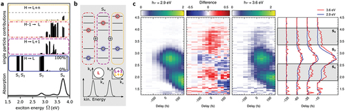 Figure 9. Multi-orbital excitons in the organic semiconductor C60. (a) A calculation in the combined many-body interaction frameworks of the GW approach and the Bethe-Salpeter equation predicts that multi-orbital excitons are prevalent in C60. (a) In particular, an exciton band around 3.6 eV excitation energy (‘S4’) is identified, in which both the HOMO and the HOMO-1 contribute significantly to the hole character of the exciton (case 2 in Figure 4a). This leads to the prediction of two photoemission features at 3.6 eV above the HOMO and 3.6 eV above the HOMO-1 ( = 2.2 eV above the HOMO), respectively. (c) A challenge in the measurement of this double signature, however, is the short lifetime of the S4 exciton band. By performing momentum microscopy measurements on the sub-100-fs timescale at two distinct pump energies, it is possible to identify an enhancement of the photoemission yield that is only present during excitation of the S4 exciton band (gray shading in c, right panel). Figure adopted from ref [Citation56] under Creative Commons Attribution License 4.0 (CC BY).