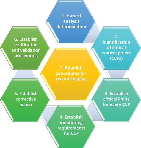 Figure 3. HACCP principles should be applied as shown; the process is cyclic and continues throughout.