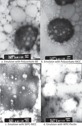 Figure 1. W1/O/W2 emulsion structure a. Emulsion with Polysorbate 80 b. Emulsion with polysorbate–MCC c. Emulsion with WPC–MCC d. Emulsion with WPC–pectin.