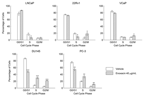 Figure 4. Effect of enoxacin on PCa cell cycle distribution. Cell cycle distribution was assessed by flow cytometry in LNCaP, 22Rv1, VCaP, DU145 and PC-3 cell lines after exposure to enoxacin 40 μg/mL or DMSO (vehicle) at day five. The percentage of cells is shown as mean of three independent experiments ± SD. Statistical significance (enoxacin vs. vehicle) was tested using the two-sided Student’s t-test. *p < 0.05, **p < 0.01, ***p < 0.001, compared with vehicle group.