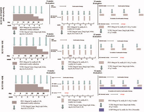 Figure 1. Treatment protocol of modified LCH-III-based chemotherapy. PDN: prednisolone; VCR: vincristine; 6-MP: 6-mercaptopurine; NAD: non-active disease; AD: active disease; intermed.: intermediate.