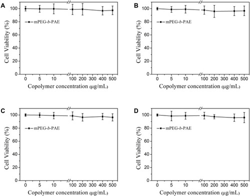 Figure 6 Cell viability of block copolymer after incubating with A549 (A), MDA-MB-231 (B), A2780 (C), and NCL-H460 (D) cells for 48 h (n = 6, mean ± SD).Abbreviations: mPEG-b-PAE, diblock copolymer poly(ethylene glycol)methyl ether-b-poly(β-amino esters); h, hour.