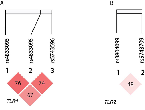 Figure 2 TLR1 and TLR2 linkage disequilibrium (LD) structure. The number of the red squares refer to pairwise D´. Haplotype blocks were defined using setting of average pairwise D´ within-block of ≥ 0.80, while the color intensity correlates to the pairwise r2 values as determined using Haploview. (A) Linkage disequilibrium structure of TLR1. (B) Linlage disequilibrium structure of TLR6.
