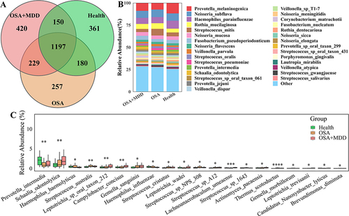 Figure 3 Comparative analysis of oral microbiota among the three groups. (A) Venn diagram showing the number of shared oral microbiota among the HC, OSA, and OSA+MDD groups. (B) The species abundance histogram shows the relative abundance distribution of the oral microbiota of the three groups. (C) The boxplot shows the differentially abundant oral microbiota of the top 20 differential relative abundances among the three groups at the species level. *p<0.05, **p<0.01, ***p<0.001,****p<0.0001.