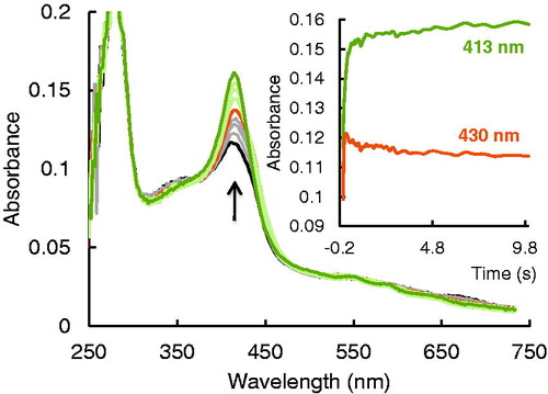 Figure 6. Reaction of EPO Compound I with 2-[(4-chlorophenyl)thio]-acetohydrazide (compound 12) (A) Spectral changes upon addition of 10 µM compound 12 to 2 µM Compound I in the sequential-mixing stopped-flow mode. The first spectrum was recorded at 1.3 ms, subsequent spectra at 0.0064, 0.012, 0.027, 0.073, 0.157, 0.303, 1010, and 9988 ms. Reaction conditions: 100 mM phosphate buffer, pH 7.0, Inset shows the time traces at 413 and 430 nm.