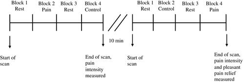 Figure 1 Experimental design. Each run lasted 3 minutes and was comprised of four 45 second blocks (2 experimental conditions and 2 rest periods). There was a 10-minute interval between each run to insure that no pain sensitization occurred. The order of the administration of each stimulus in each run was counterbalanced between each participant in a pseudo-randomized manner.Abbreviation: fMRI, functional magnetic resonance imagining.