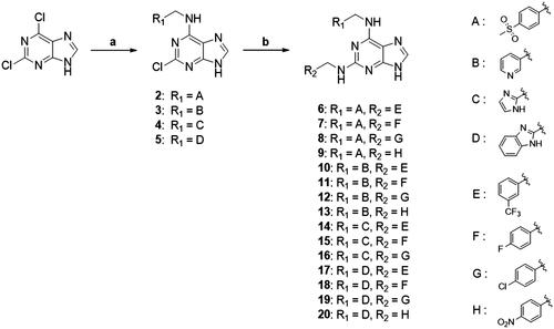 Scheme 1. Synthesis of purine-based TNP analogs. Reagents and conditions: (a) appropriate benzylamines (1.1 eq), Et3N (1.1 eq), DMF, 100 °C, 8 h; (b) appropriate benzylamines (5.0 eq), n-butanol, NaBF4 (1.5 eq), 180 °C.