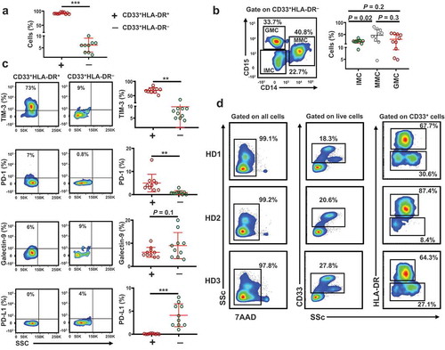 Figure 1. Levels of circulating CD33+HLA-DR+ and CD33+HLA-DR– myeloid cells and gating strategy for sorting