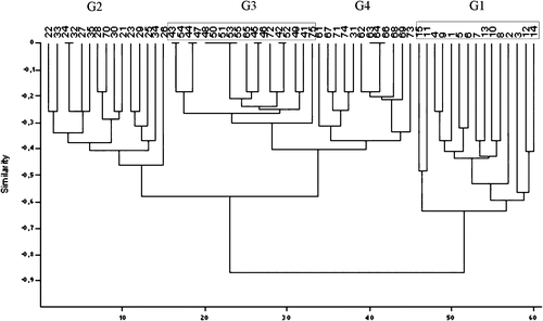 Figure 5. Result of hierarchical classification (cluster analysis, euclidean distance) of groups of chickens based on scores of slide agglutinations, gross lesions in the air sacs and peritoneum, the histological lesions of interstitial pneumonia, peribronchitis and catarrhal pneumonia, follicular reactions in the spleen and liver and isolation rates. G1 from animal number 1 to number 15, G2 from animal number 21 to number 35, G3 from animal number 41 to number 55, and G4 from animal number 61 to number 75. G1–G4, see caption to Figure 1.