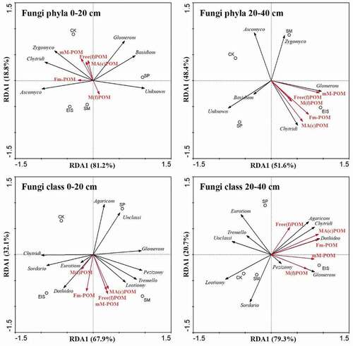 Figure 5. Redundancy analysis (RDA) of soil fungal communities and POM fractions under different straw returning methods at 0–20 and 20–40 cm depths