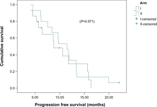 Figure 2 Kaplan–Meier curves for progression free survival according to the treatment group.