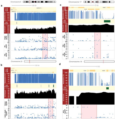 Figure 4. Comparison of ANKS1A and TCAP genes between human and cattle. (a) ANKS1A had a non-methylated promoter with a CpG island (CGI) on chromosome 6 in human, and bore suggestive significant SNPs (P < 1e-5) for three human complex traits, including height, waist circumference (WC) and high-density lipoprotein (HDL). (b) ANKS1A had a non-methylated promoter with a CGI on chromosome 23 in cattle, and bore suggestive significant SNPs for two cattle complex traits, i.e., stature and udder depth. (c) TCAP had a hypermethylated promoter without any CGI on chromosome 17 in human, and bore suggestive significant SNPs for three immune-related traits, including inflammatory bowel disease (IBD), primary biliary cirrhosis (PBC) and urinary metabolites (UM). (d) TCAP had a hypermethylated promoter without CGI on chromosome 19 in cattle, and bore suggestive significant SNPs for somatic cell sore (SCS) in cattle.