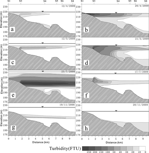 Figure 6 Longitudinal transects of turbidity, from inflow river (S1) to water flow outlet (S8).