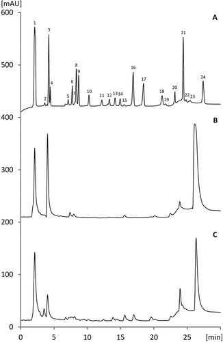 Figure 1. Overlayed chromatograms from the HPAEC analysis of myo-inositol phosphates from white quinoa raw and tempe seeds.Myo-inositol phosphates in house reference standard acquired after thermal hydrolysis of phytic acid (A), white quinoa seeds – raw (B) and fermented (C). Peaks: (1) inorganic phosphate; (2–4) InsP1-2; (5) Ins(1,3,5)P3; (6) Ins(2,4,6)P3; (7) Ins(x,y,z)P3,; (8) Ins(1,2,6)P3; (9) Ins(x,y,z)P3; (10) DL-Ins(1,5,6)P3; (11) DL-Ins(4,5,6)P3; (12) DL-Ins(1,2,4,6)P4; (13) DL-Ins(1,2,3,4)P4; (14) DL-Ins(1,2,4,5)P4; (15) InsP4,; (16) DL-Ins(1,2,5,6)P4; (17) Ins(2,4,5,6)P4; (18) Ins(1,4,5,6)P4; (19) Ins(1,2,3,4,6)P5; (20) Ins(1,2,3,4,5)P5; (21) DL-Ins(1,2,4,5,6)P5; (22) Ins(v,w,x,y,z)P5; (23) Ins (1,3,4,5,6)P5, (24) Ins(1,2,3,4,5,6)P6.