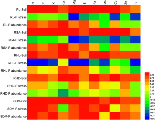 Figure 4. The heat map showing the correlation (Pearson correlation) between nutrient uptake and root parameters or shoot DM of plants grown in either solution culture (under stressed or abundant P concentrations) or in soil. The color denotes the value of correlation coefficients.