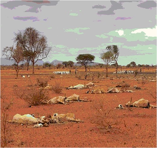 Figure 4. The severity of the drought affecting the livestock of Borana zone in October 2022