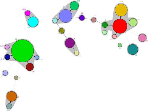 Figure 3. Minimal spanning tree based on the multi-locus sequence types of MRSA strains. All 28 STs are represented by a circle with colour. The size of each circle indicates the number of isolates of specific types. The shaded halo surrounding the STs encompasses related STs that belong to the same CC. These non-typable isolates were not included in this analysis.