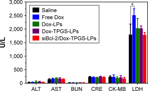 Figure S3 Blood biochemical indicators, including liver-related ALT and AST, kidney-related BUN and CRE, and heart-related LDH and CK-MB, in the blood samples of mice were analyzed on Day 15 after treatment with different formulations. *P<0.05.Abbreviations: ALT, alanine aminotransferase; AST, aspartate aminotransferase; BUN, blood urea nitrogen; CK-MB, creatinine kinase-MB; CRE, creatinine; Dox, doxorubicin; LDH, lactate dehydrogenase; LPs, liposomes; siBcl-2, Bcl-2 siRNA; TPGS, D-α-tocopherol polyethylene glycol 1000 succinate.