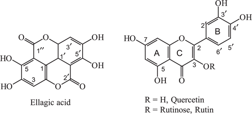 Figure 1.  Chemical structures of quercetin, rutin and ellagic acid.