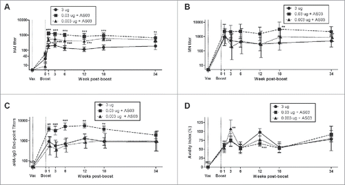 Figure 1. Long-term serum antibody response in mice after 2 immunizations of unadjuvanted A/Uruguay H3N2 split vaccine or AS03-adjuvanted dose-sparing vaccines. BALB/c mice were immunized intramuscularly on days 0 and 21. Serum samples were collected before each immunization and at indicated time-points post-boost. HAI titers (A), MN titers (B), anti-HA IgG endpoint titers (C) and antibody avidity indices (D) against homologous virus was determined from individual mice. Differences between low-dose adjuvanted groups to 3 µg HA only at each time-point are indicated; *, P < 0.05, **, P ≤ 0.01, ***, P ≤ 0.001. Data represent geometric means and 95% confidence intervals. (A) and (C) depict 8–16 mice per group. (B) and (D) depict 5–8 and 8–10 mice per groups, respectively.