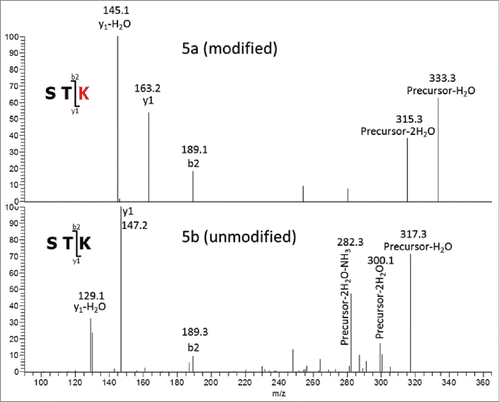 Figure 5. MS3 of tryptic Hyl-containing (5a) and unmodified (5b) peptides. Precursor3+ (y3)1+ Fragments.