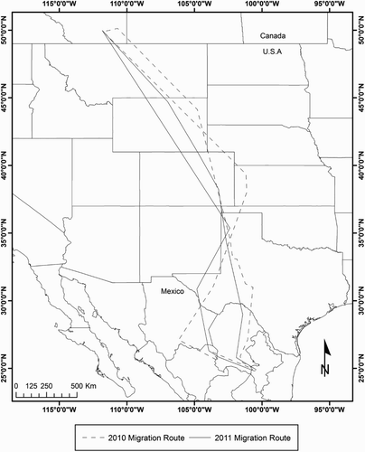 Figure 1. Routes used by a male Long-billed Curlew tracked with satellite telemetry across North America during 2010 and 2011 spring and autumn migrations.