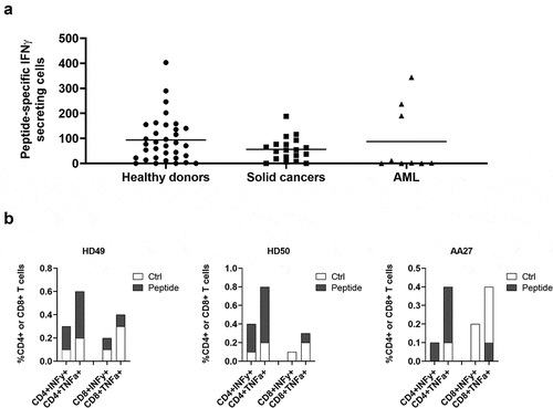 Figure 2. ARG2-1 is widely recognized by PBMCs from both healthy donors and cancer patients with solid tumors or AML. (a) IFNγ ELISPOT responses against ARG2-1 peptide in PBMCs from healthy donors (n = 33), cancer patients with solid tumors (n = 19), or cancer patients with AML (n = 19). 3–4 × 105 cells were plated per well. Peptide and control stimulations were performed in triplicate. Each spot represents one donor and is the number of peptide-specific IFNγ-secreting cells (the difference between the average of wells stimulated with peptide and control wells). (b) Representative intracellular cytokine staining for IFNγ and TFNα production in samples from healthy donors (HD49 and HD50) and a cancer patient (AA27) with solid tumors stimulated with ARG2-1 or non-stimulated control.