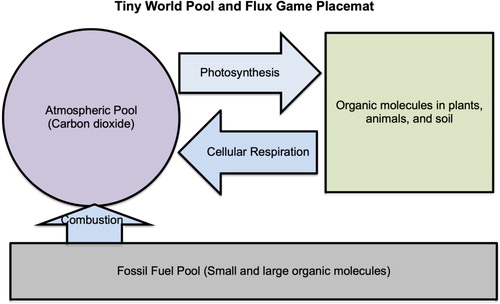Figure 6. In the Tiny World Modeling Game, students move markers representing carbon atoms through carbon cycle pools and fluxes.