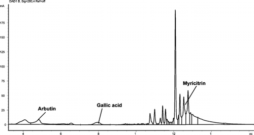 Figure 3 HPLC chromatograph of Arctostaphylos uva-ursi. showing arbutin, gallic acid, and myricitrin at 280 nm.