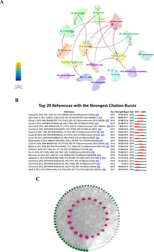 Figure 6 (A) Co-Citation Network of Literature. Overlaying the sizes of circles, ie, adding the sizes of circles corresponding to each annual ring, is proportional to the total citation count. Purple represents earlier citation times, yellow represents later citation times, and the overlaid colors indicate that the paper has been cited in corresponding years. The connecting lines between circles represent co-citation relationships, with nodes marked in magenta considered as key nodes with centrality greater than 0.1. (B) Top 20 References Showing Strongest Citation Bursts. (C) Protein-Protein Interaction Network Construction.