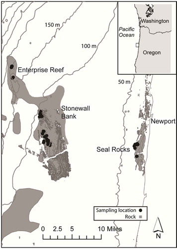 FIGURE 1. Coastal Oregon reefs that were sampled with the stereo-video lander. Shaded area is a composite of classified habitat including rock, boulder, and rock mix (Goldfinger et al. Citation2014). The 50-m to 150-m depth contours are depicted.