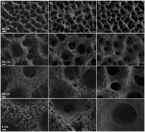 Figure 3. FE-SEM images of (a) the uncoated Cu80Ni20 MF; and the ZnO-coated Cu80Ni20 after (b) three consecutive impregnations (middle coverage) and (c) six consecutive impregnations (final coverage). In each column different magnifications of the three materials are shown.