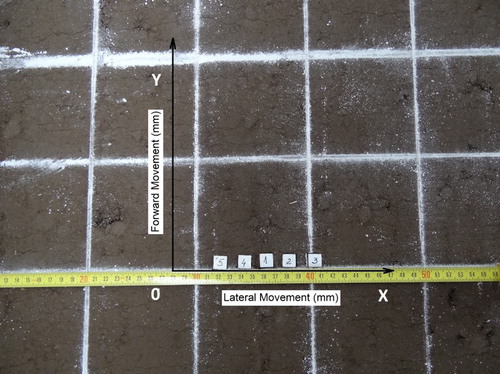 Figure 5. Placement of cubes with initial coordinates before running the L-share: cubes № 5 x = 40 mm, y = 0; № 4 x = 60 mm, y = 0; № 1 x = 80 mm, y = 0; № 2 x  = 100 mm, y = 0; № 3 x = 120 mm, y = 0.