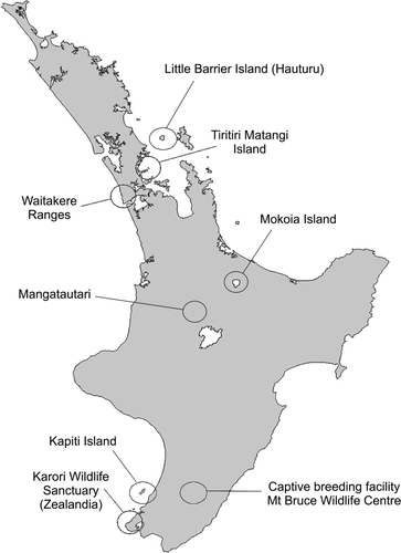 Figure 1  Map showing location of remnant and translocated hihi populations.