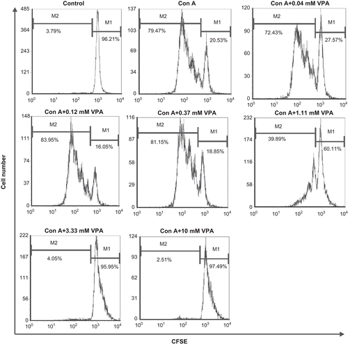 Figure 1.  Flow cytometry analysis of carboxyfluorescein diacetate succinimidyl ester (CFSE)-labeled cells. Lymphocytes were labeled with CFSE before stimulation with concanavalin A (ConA) in the presence or absence of valproic acid (VPA). One of three independent experiments is shown. M1: Percentage of parent population; M2: percentage of divided cells.