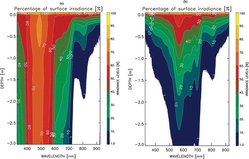 Fig. 10. Profiles of underwater downwelling spectral irradiance: (a) in the municipal swimming complex of Évora; (b) in Alqueva reservoir. Profiles are in percentage of surface irradiance.