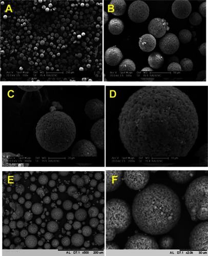 Figure 3 SEM images of the PHB-HV 5%/Ho(acac)3-MS acquired in Philips XL30 Microscope (A–D) and Tabletop Microscope TM3000 (E–F). Magnifications: (A) 100×, (B) 500×, (C) 1000×, (D) 2000×, (E) 500×, and (F) 2000×.Abbreviations: SEM, scanning electron microscopy; PHB-HV, poly(3-hydroxi-nutyrate-co-3-hydroxy-valerate); MS, microspheres.
