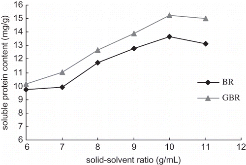 Figure 5 Relationship between solid:solvent ratio and protein content. Extraction conditions: temperature 30°C; time 2 h; and pH 8.5.