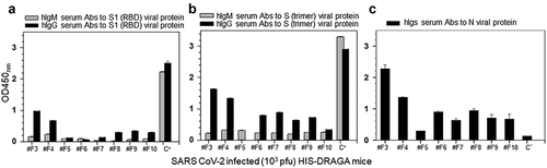 Figure 10. Human IgM and IgG serum titers to SARS-CoV-2 viral proteins in infected HIS-DRAGA mice.