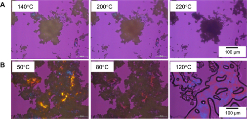 Figure S3 Optical microscopic images of (A) 10% PEG-ONT, and (B) self-assembly of 2 at increased temperatures.Notes: The self-assembly of 2 melted at 120°C, while 10% PEG-ONT kept the solid state before decomposing (color turns black) at 220°C.Abbreviations: ONT, organic nanotube; PEG, polyethylene glycol.
