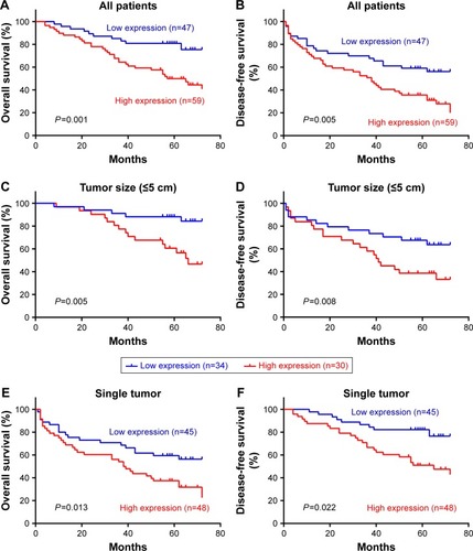 Figure 4 Kaplan–Meier survival analysis for HCC patients and subgroups.