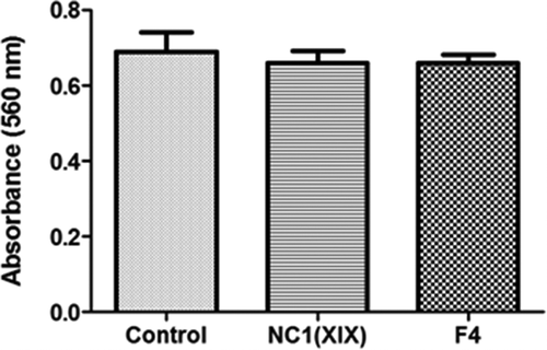 Figure 1. NC1(XIX) and F4 does not affect endothelial cell proliferation. 5,000 HUVEC were seeded in a 96 well plate and incubated with or without 40 μM NC1(XIX) or F4 for 48 hours. After washing, cells were fixed with glutaraldehyde and stained with crystal violet. Dye was eluted with 10% acetic acid and absorbance was read at 560 nm. The values are the means ± SD (n = 16). The experiment was repeated three times (N = 3) and the results presented in the figure correspond to the more representative one