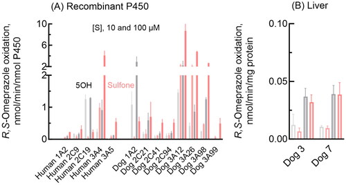 Figure 1. Omeprazole 5-hydroxylation and sulfoxidation activities of recombinant human and dog P450 1 A, 2 C, and 3 A enzymes and dog liver microsomes. Mean activities of omeprazole 5-hydroxylation (gray bars) and sulfoxidation (pink bars) with SD values (whiskers) were determined for recombinant enzymes (A) and liver microsomes (B) using substrate concentrations of 10 µM (light color/open bars) and 100 µM (dark bars) R,S-omeprazole in triplicate reactions.