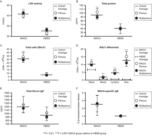 Figure 4.  BALF characteristics. BALF LDH activity, total protein concentration, total and differential cell counts, and IgE levels in mice bred before sensitization. The assay limit of detection was 6.25 ng/mL for serum total IgE. Data shown are expressed as mean ± SE. *P < 0.05, ***P < 0.001 for MACA cohort average compared to HBSS cohort average. Parous n = 11 and Nulliparous n = 17 for both MACA and HBSS treatment groups.